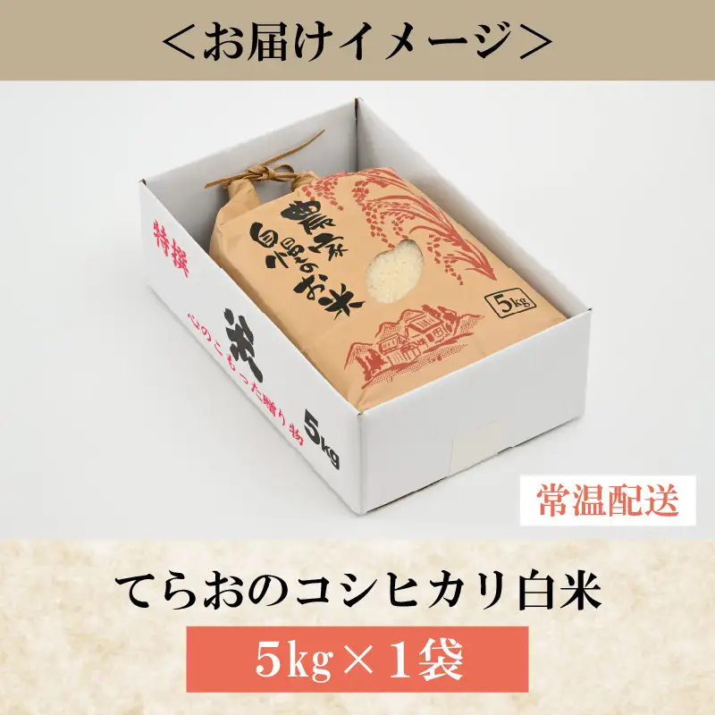 【先行予約】てらおのコシヒカリ白米 5kg×1袋 ※2026年9月20日以降順次発送 [A-041005]