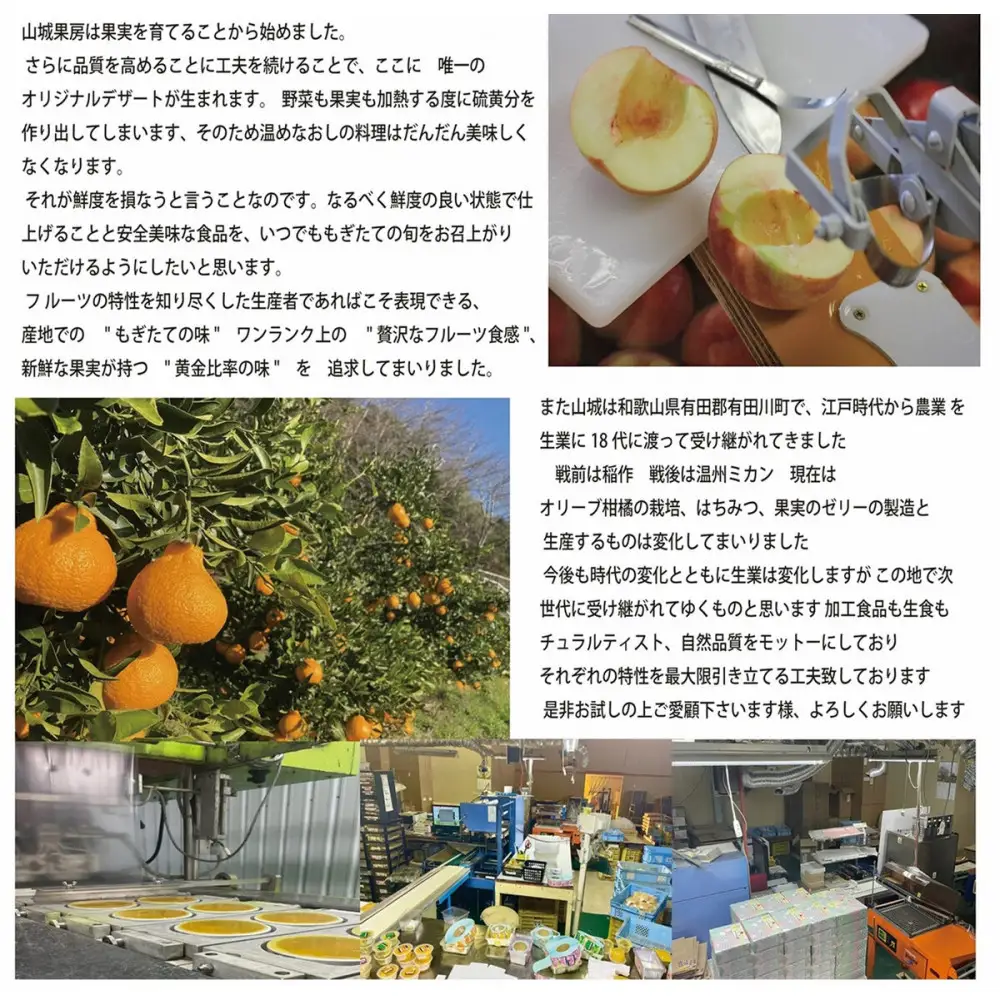 とろり飲むレモンゼリー 270g × 8個入り