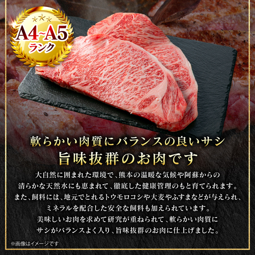 クリストフル　希少なアメリケ一部補修有りだが実用可能　24.5cmステーキ切りに ステーキ くまもと黒毛和牛 サーロイン ステーキ 1kg （250g×4枚） A4