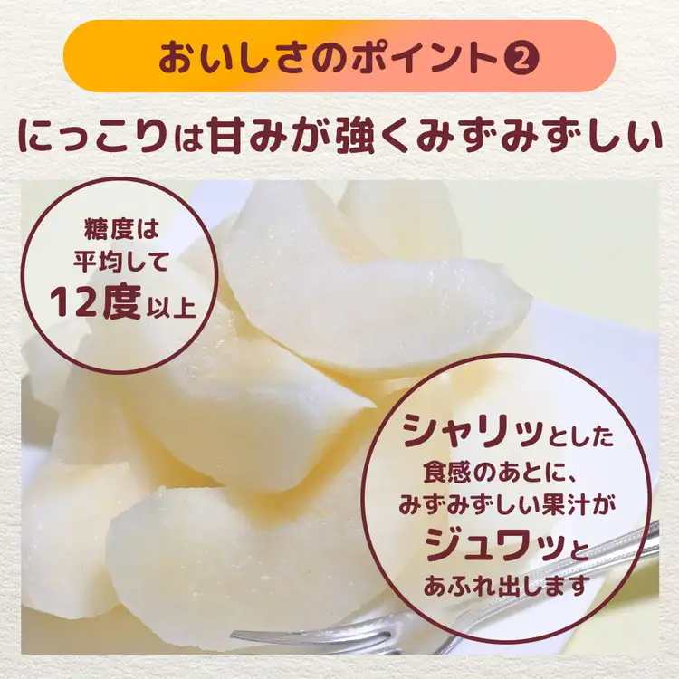 【先行予約】栃木の梨 にっこり 5kg | 梨 秋の味覚 果物 くだもの フルーツ ※2026年10月～発送
