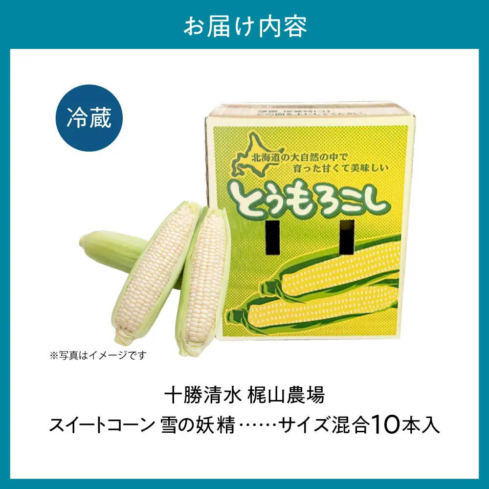 先行受付！【2026年8月中旬頃～発送開始！】北海道十勝清水町産 希少品種！ 白いとうもろこし 雪の妖精 サイズ混合 10本 産地直送 スイートコーン 朝どれ フルーツのような甘さ_S041-0012-20260810
