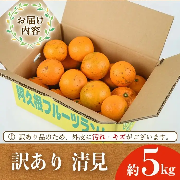 ＜先行予約受付中！2027年2月以降順次発送予定＞訳あり 清見(約5kg) 国産 鹿児島県 阿久根市 果実 果物 フルーツ 柑橘 みかん ミカン きよみ 訳アリ 期間限定 数量限定 【桐野柑橘株式会社】akn070-20