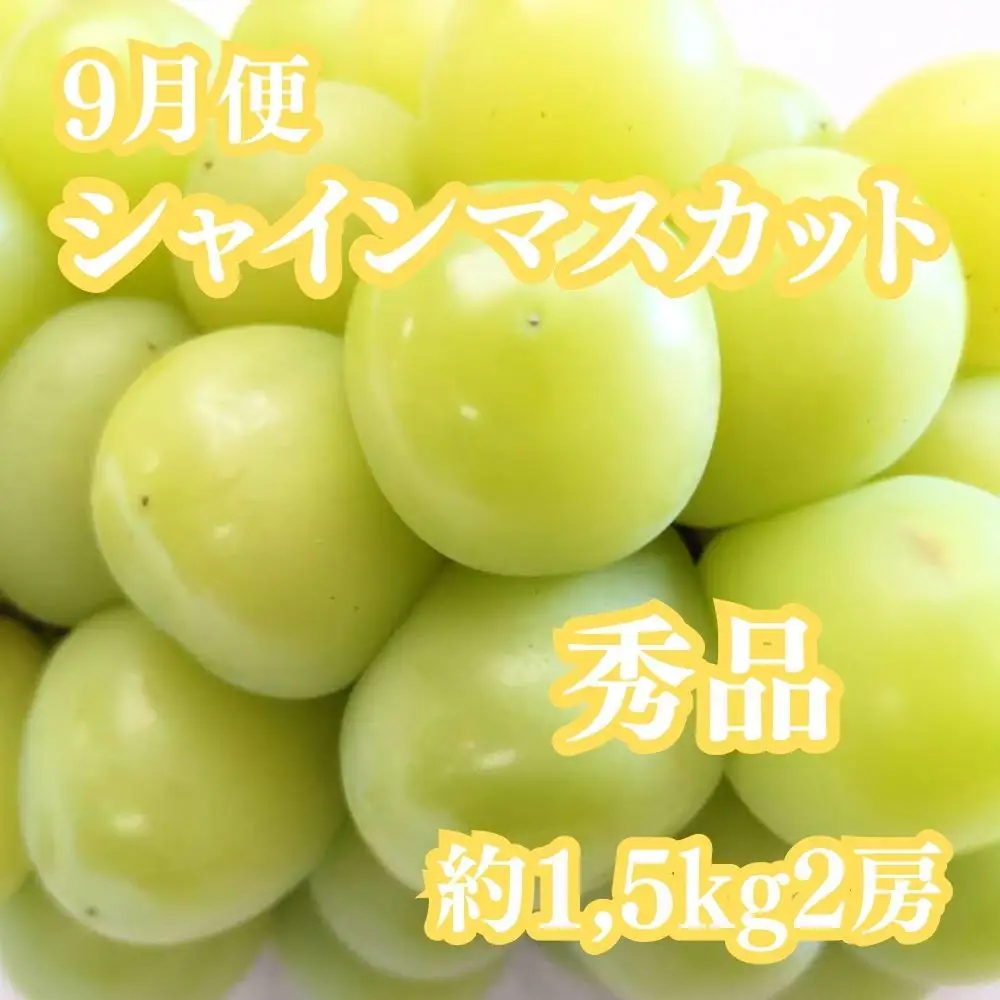 【全5回】坂出の美味しい果物定期便　四季折々の果物をお届けします