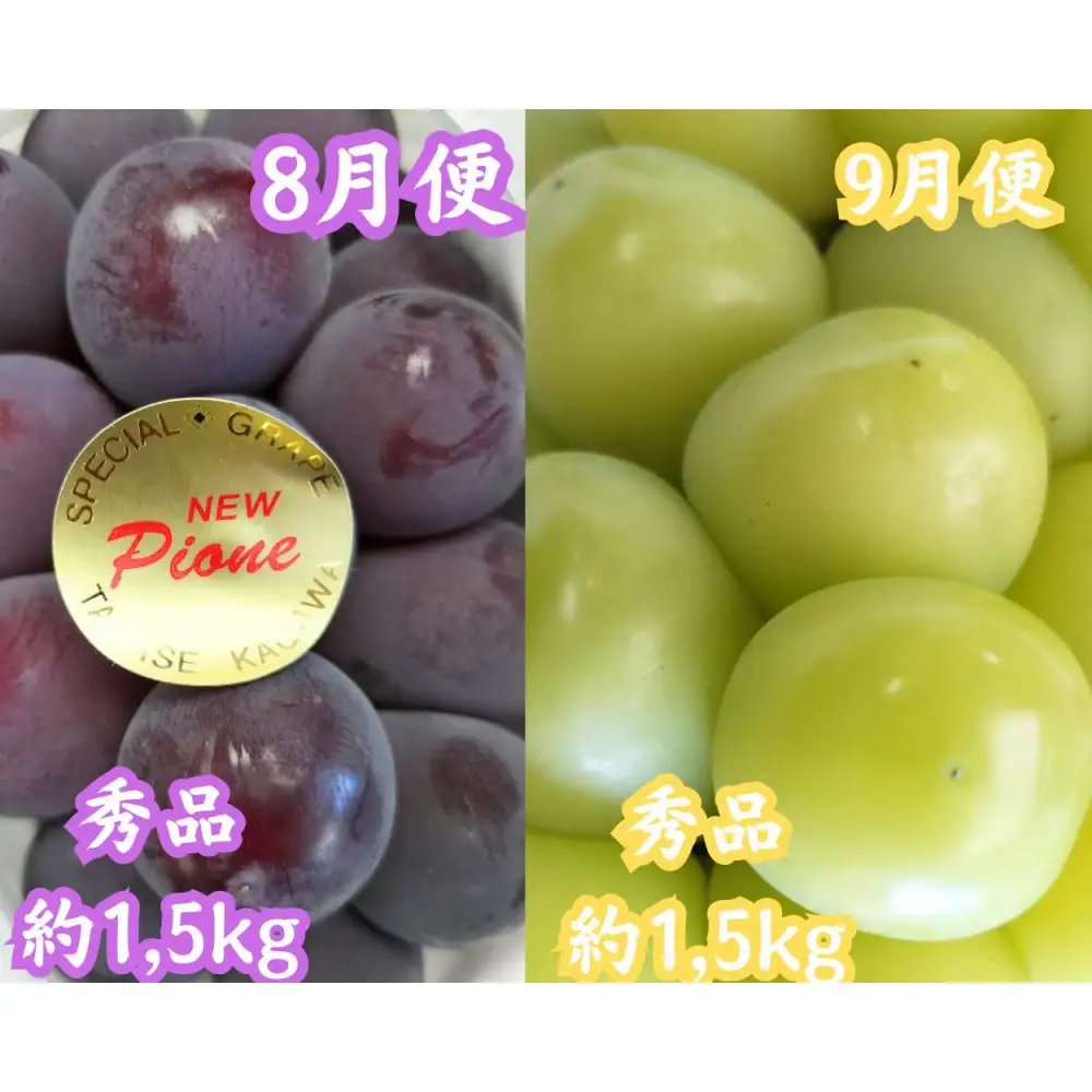 【全6回】坂出　冬・夏　美味しい果物定期便