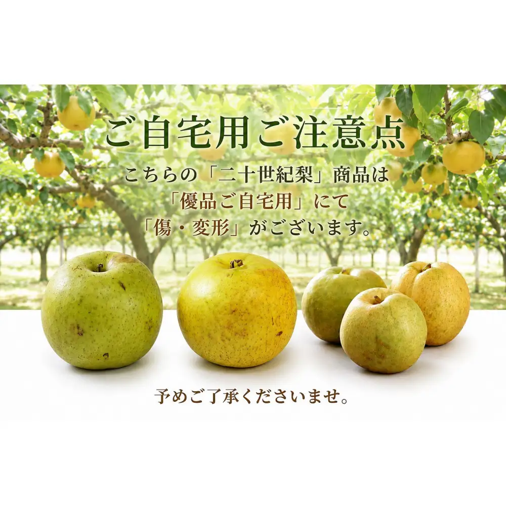 鳥取県産 梨 優品 ご自宅用 二十世紀梨 5kg 【鳥取県 境港市】