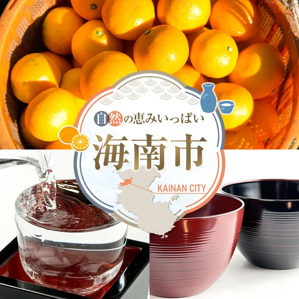 ［2027年1月出荷分］和歌山産ミニトマト「アイコトマト」約1kg（M・Lサイズおまかせ） ［TM263］
