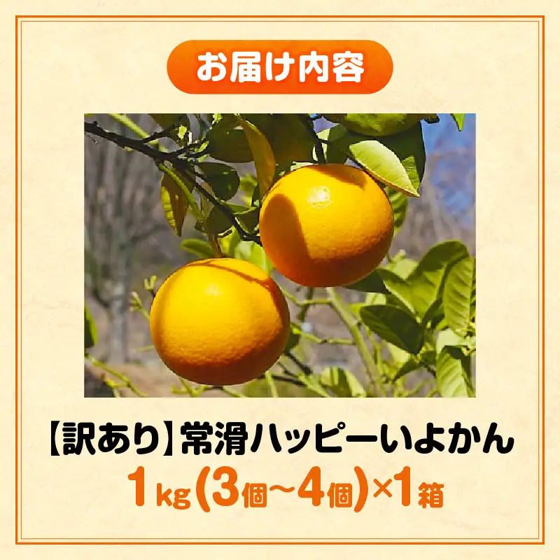 【先行予約】【訳あり】常滑ハッピーいよかん 1kg （3～4個）｜いよかん フルーツ 常滑市
