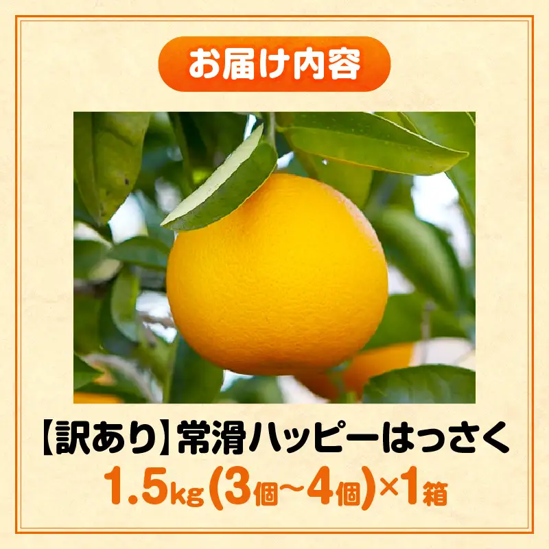 【先行予約】【訳あり】常滑ハッピーはっさく 1.5kg （3～4個）｜ はっさく フルーツ 常滑市