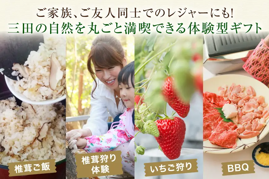 チケット かさや年間パスポート 2名 4枚 セット