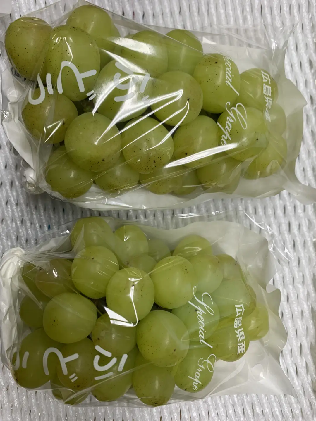 ＜訳あり＞ 家庭用ピオーネ＆シャインマスカット 約1.2kg｜味はそのまま・ご家庭用におすすめ（チルド配送）《9月中旬-10月下旬出荷予定》期間限定 フルーツ 果物 ぶどう ブドウ 神石高原町 広島県