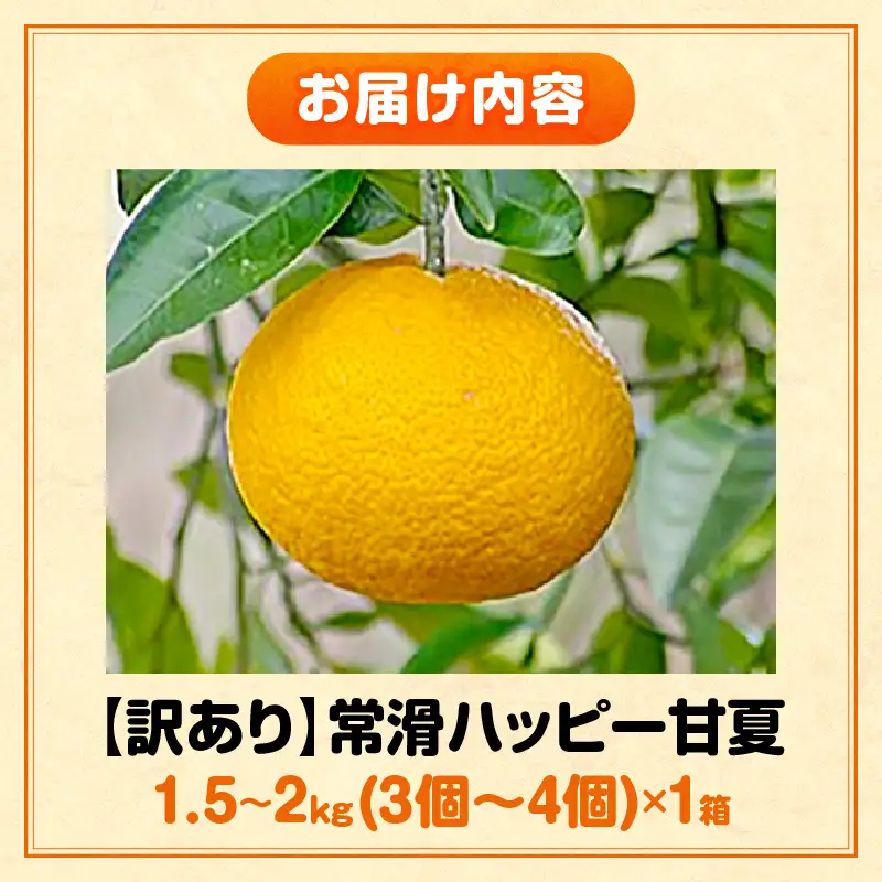 【先行予約】【訳あり】常滑ハッピー甘夏 1.5kg～2kg（3～4個）｜甘夏 フルーツ 常滑市