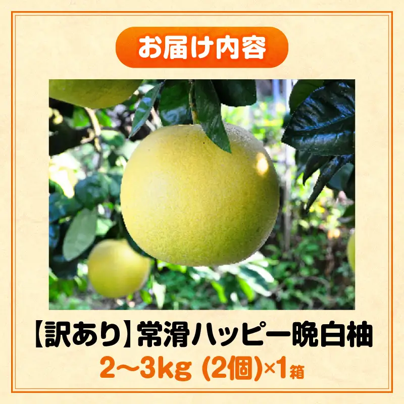 【先行予約】【訳あり】常滑ハッピー晩白柚 2kg～3kg（2個）｜ ばんぺいゆ フルーツ 常滑市