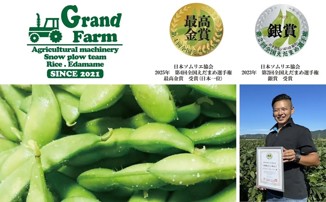 【数量限定・8月上旬出荷】新潟えだまめ 茶豆 1kg（500g×2袋）新潟県産枝豆 [Y0633]