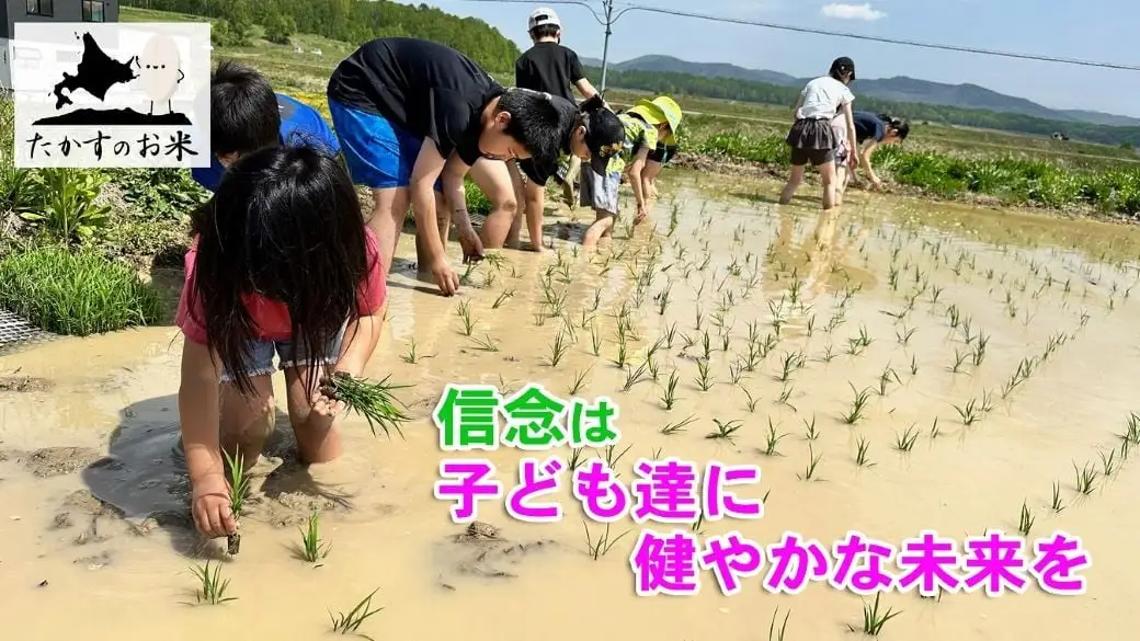 【 令和8年産新米予約 】 ゆめぴりか （ 玄米 ） 約20kg （ 約10kg × 2袋 ） お米 米 こめ コメ 白飯 飯 ご飯 おにぎり ブランド米 ブランド 国産 北海道産 特別栽培米 【2026年10月上旬～2027年9月下旬迄発送予定】