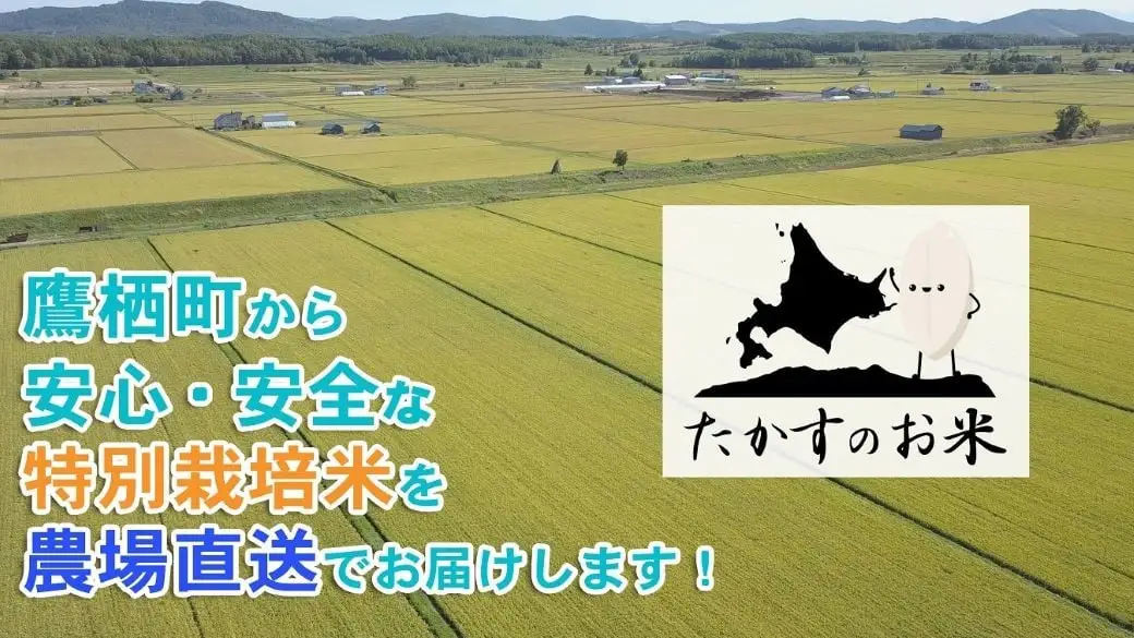 【 令和8年産新米予約 】 ななつぼし （ 無洗米 ） 真空パック 約10kg （ 約5kg × 2袋 ） お米 米 こめ コメ 白飯 飯 ご飯 おにぎり ブランド米 ブランド 国産 北海道産 特別栽培米 【2026年10月上旬～2027年9月下旬迄発送予定】