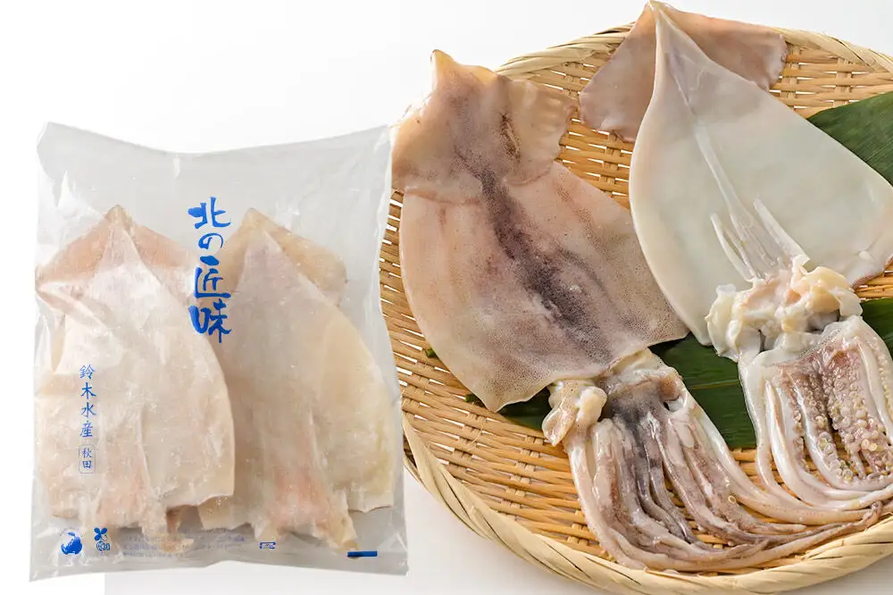 イカの開き 5枚 干物 冷凍