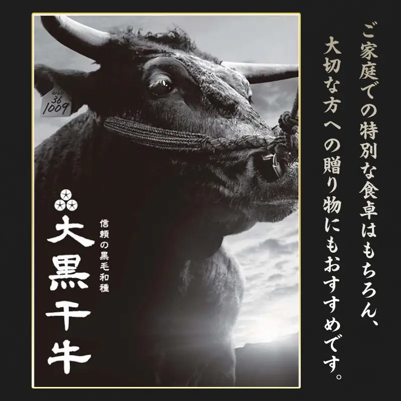 黒毛和牛 大黒千牛 サーロインステーキ 黒毛和牛【500g(約250g×2)】【冷凍】