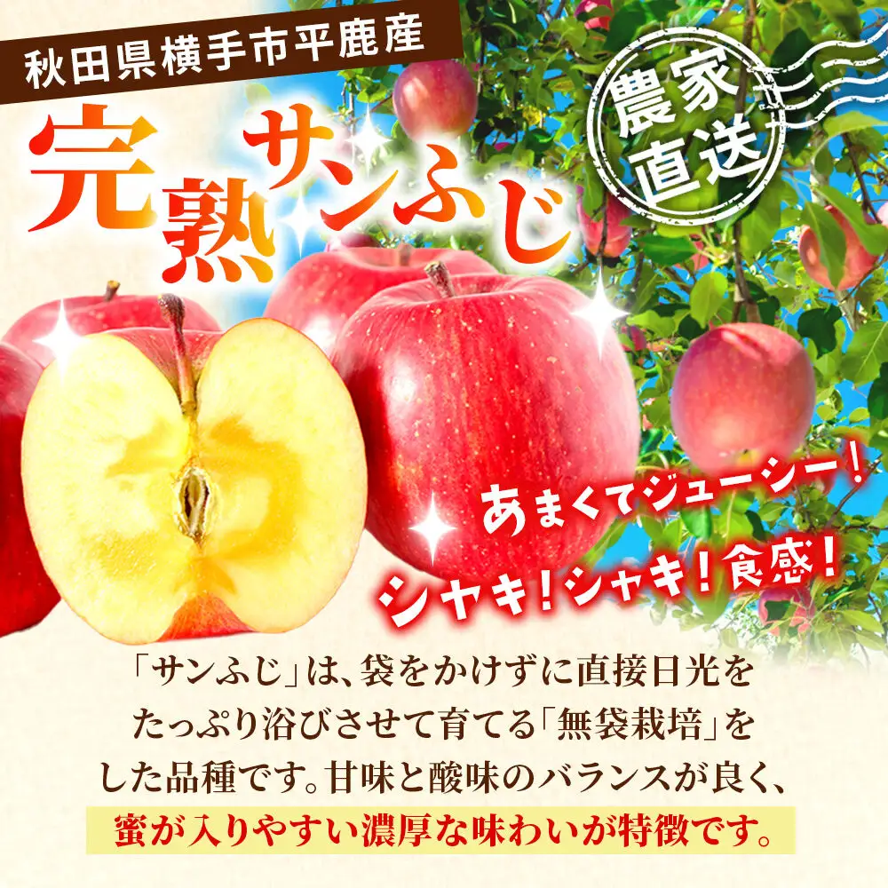【先行受付】11月下旬より発送 完熟サンふじ秀品 約2kg（6～8個入）りんご