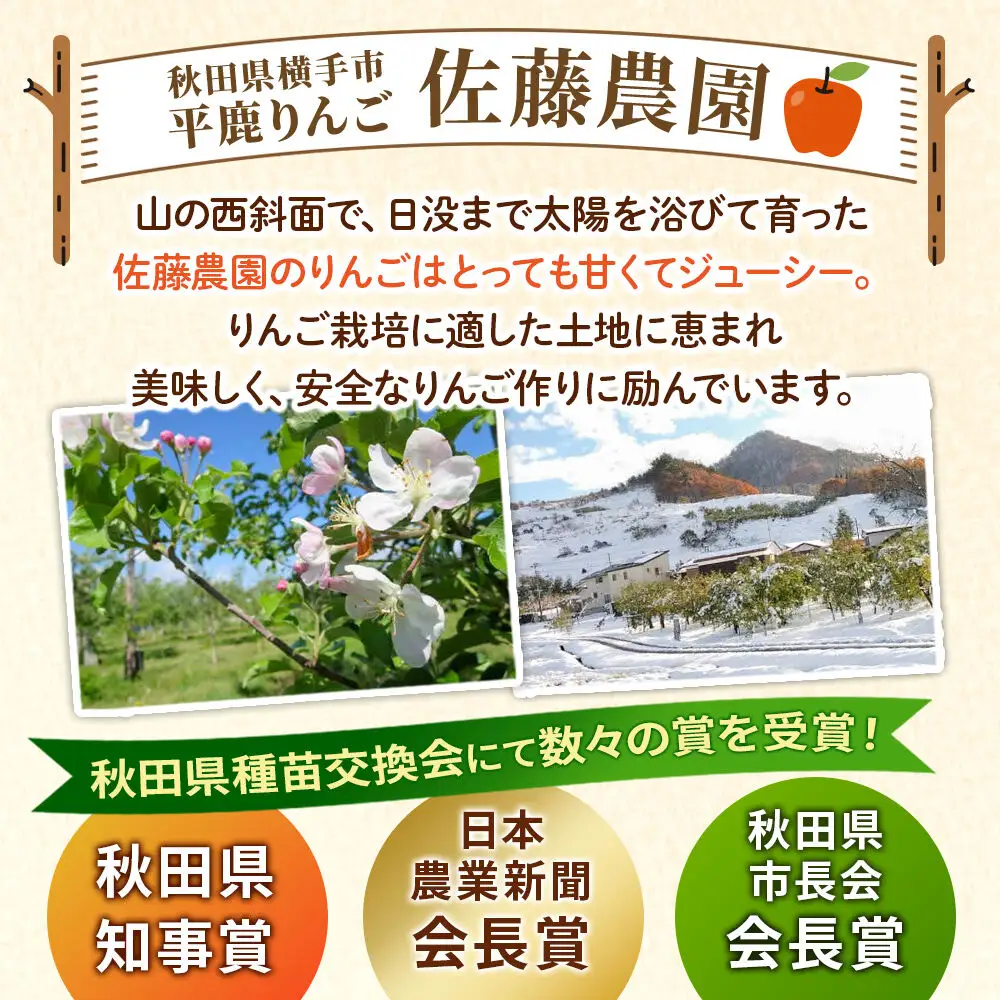 【先行受付】10月中旬より発送 シナノスイート約2kg（6～8玉）りんご 秋田県横手市