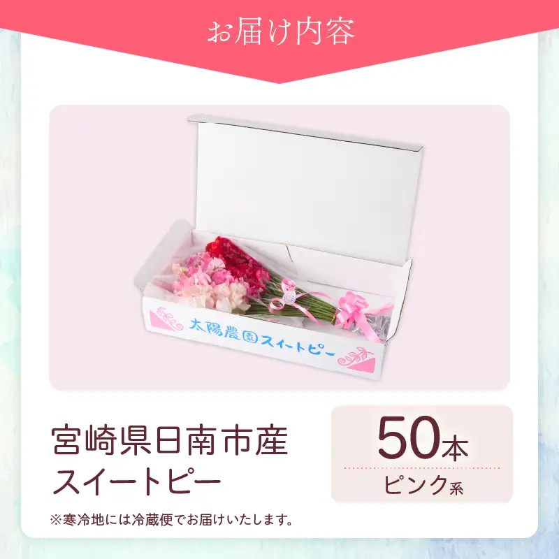 スイートピー 花束 50本 ピンク系 フラワー 期間限定 数量限定_CB122-26