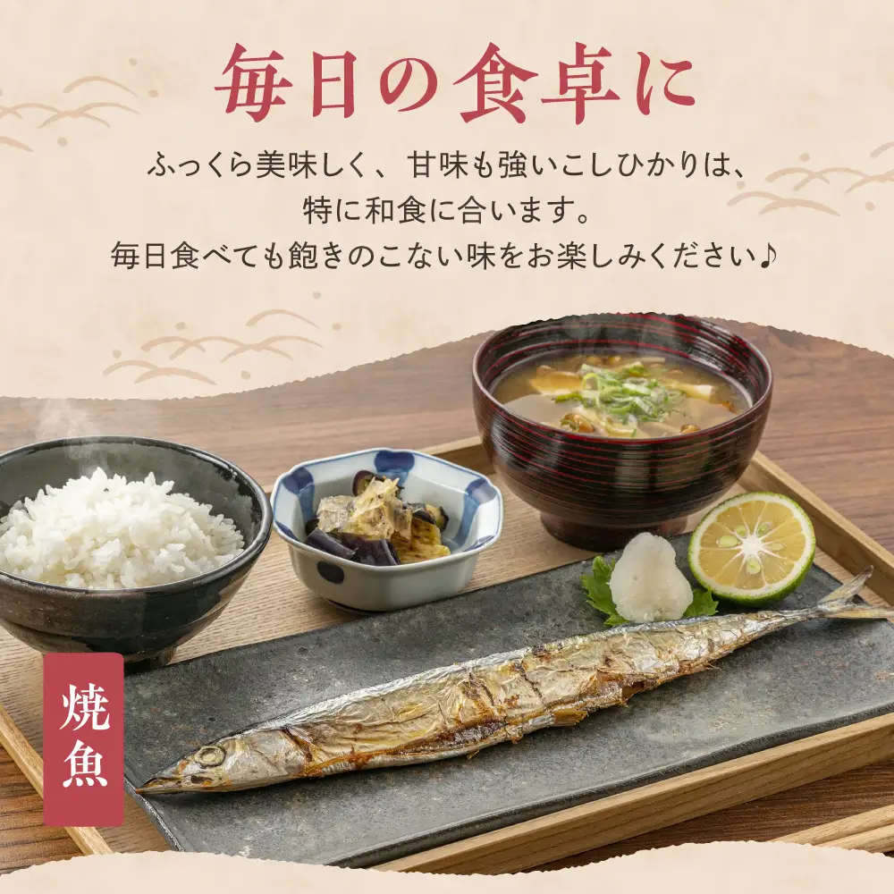 【2026年10月上旬発送】令和8年産 新潟県妙高産 こしひかり 2kg