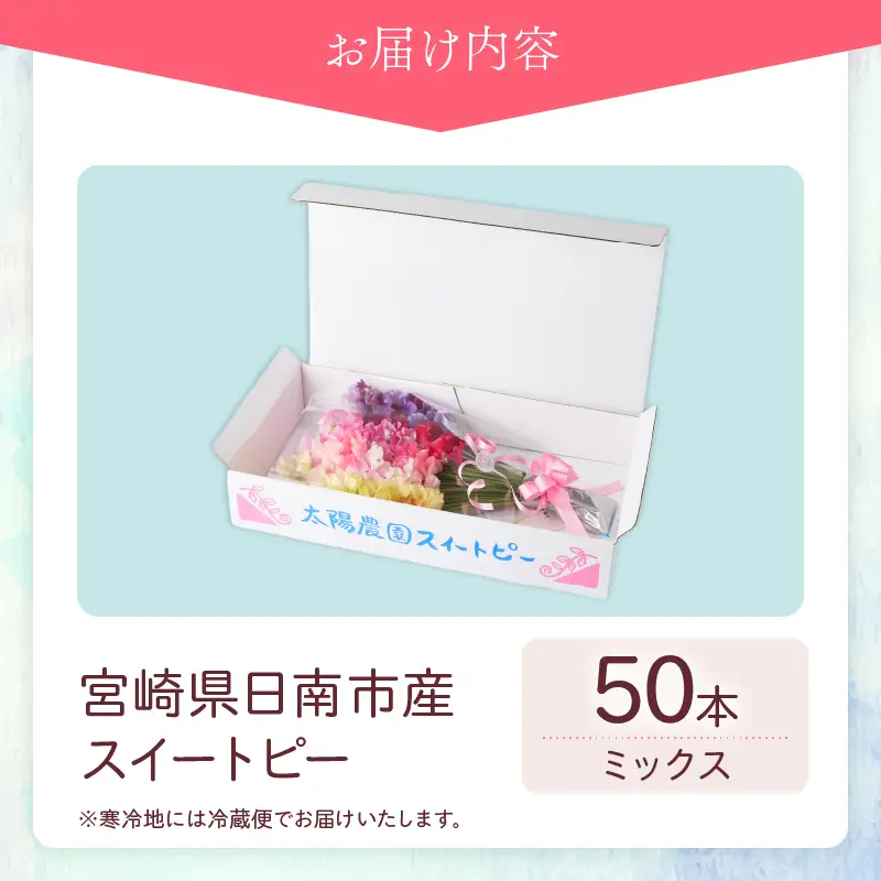 スイートピー 花束 50本 ミックス系 フラワー 期間限定 数量限定_CB123-26