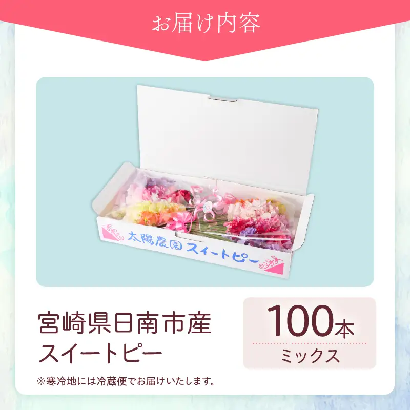 スイートピー 花束 100本 ミックス系 フラワー 期間限定 数量限定_FA16-26