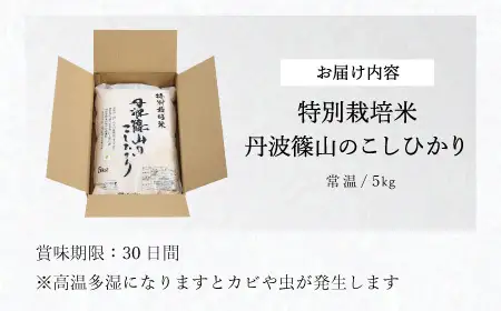 新米予約〈スピード出荷〉減農薬 特A 丹波篠山産 特別栽培米 こしひかり 5kg 精米