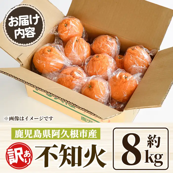 ＜先行予約受付中！2027年3月上旬以降順次発送予定＞ 訳あり！露地栽培の不知火(約8kg) 国産 不知火 しらぬい 柑橘 果物 フルーツ デザート 露地 果実 期間限定 数量限定 【古田果樹園】akn093-09