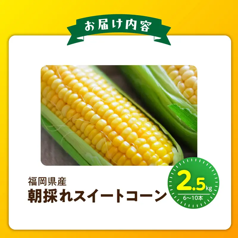 【2027年6月お届け】 福岡県産とうもろこし 2.5kg（スイートコーン） 〔Gv055-01〕