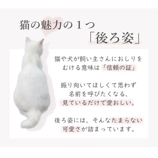 Pt950/K18 ネコモチーフ ダイヤモンド ネックレス / b0380da