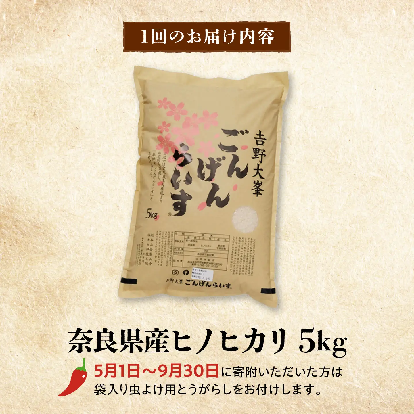【全12回】ひのひかり 5kg [BRAW059] ひのひかり
