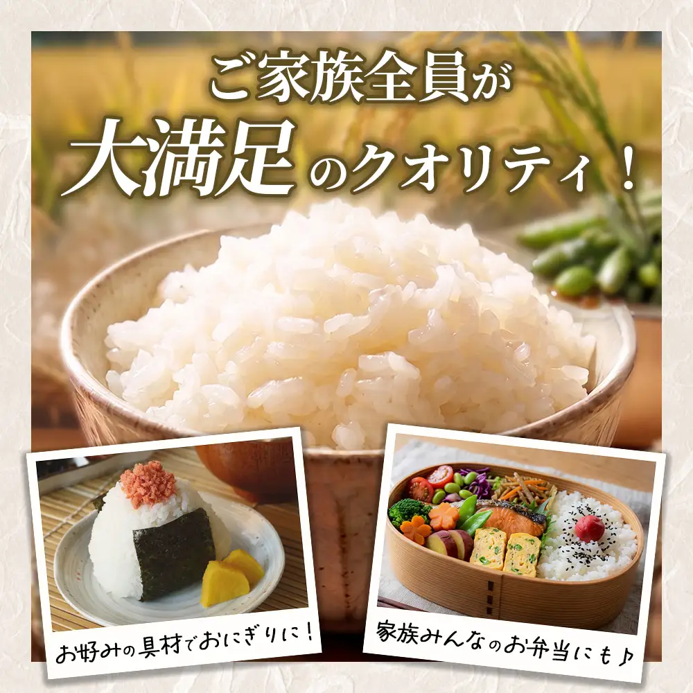 【令和8年産】茨城コシヒカリ 10㎏（5kg×2袋）【精米】 | お米 米 こしひかり 茨城県産 白米 ブランド米 小分け ※2026年9月～発送