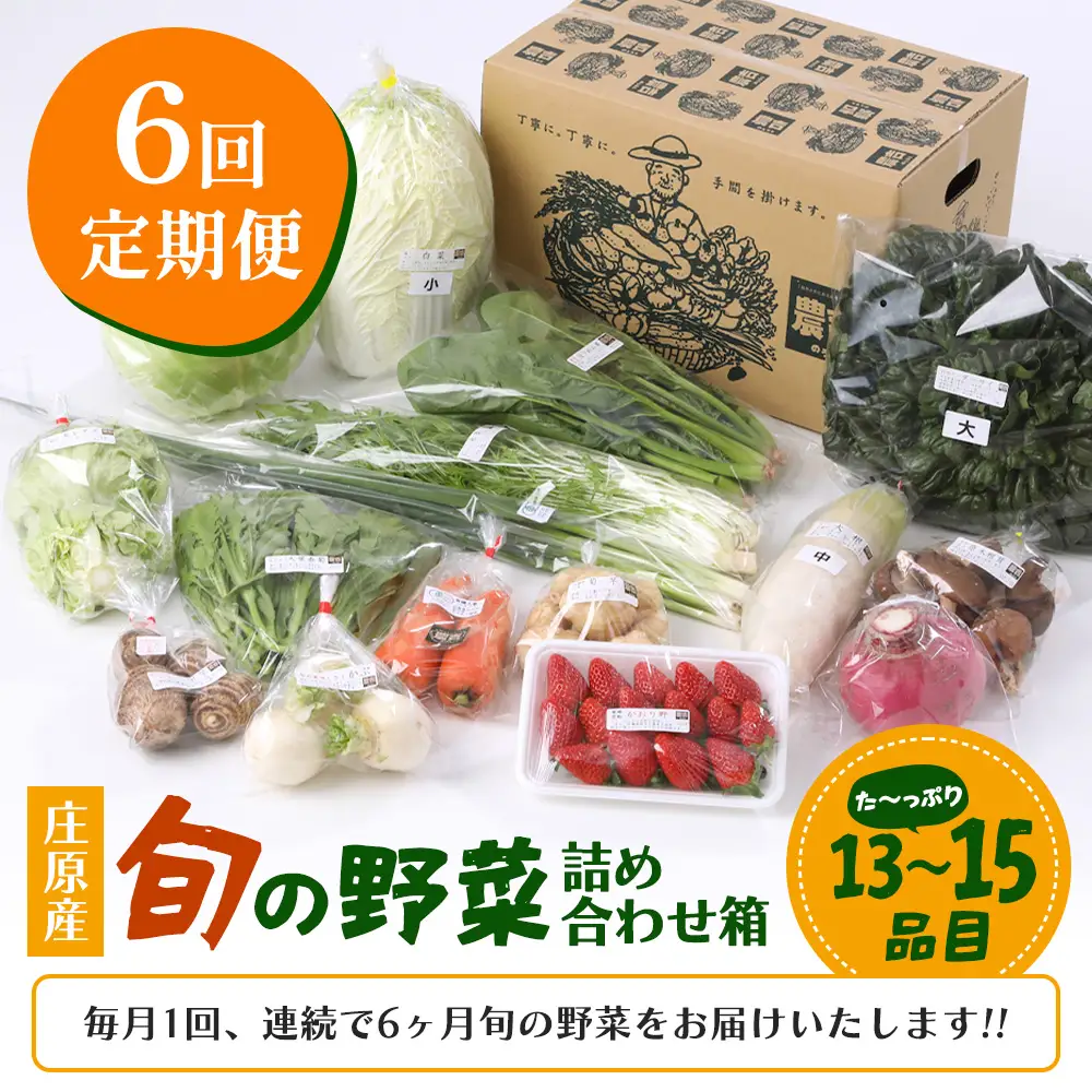 【定期便 6回配送】広島県庄原産「旬の野菜」詰め合わせ箱（13～15品目）野菜セット やさい 6ヵ月 6か月 6ヶ月 定期 頒布会