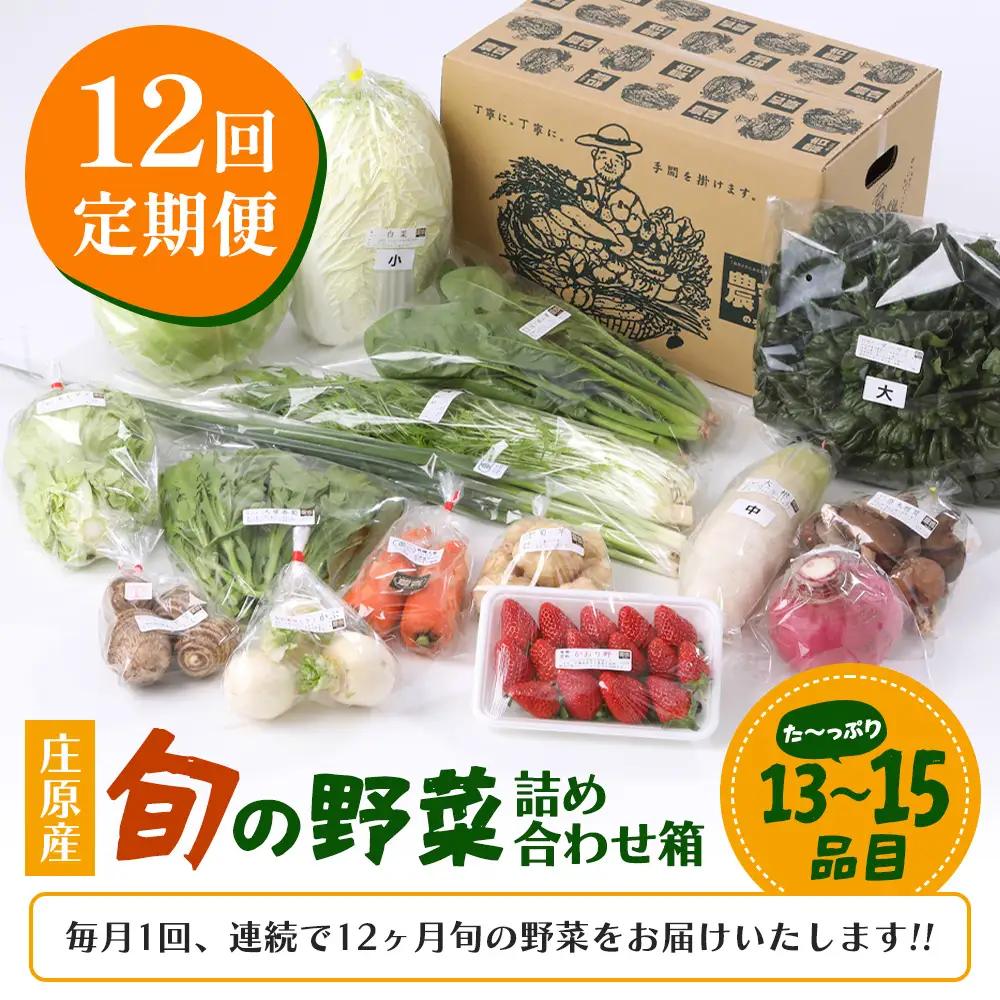 【定期便 12回配送】広島県庄原産「旬の野菜」詰め合わせ箱（13～15品目）野菜セット やさい 12ヵ月 12か月 12ヶ月 1年 1年間 定期 頒布会