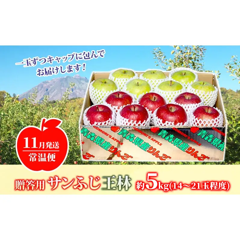 りんご詰合せ サンふじ王林青森県産贈答用 りんご詰合せ【約5kg】【11月発送】