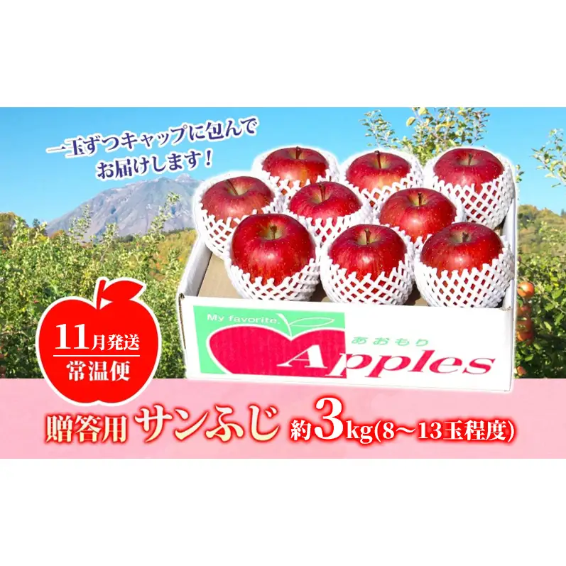 サンふじりんご青森県産贈答用サンふじ【約3kg】【11月発送】