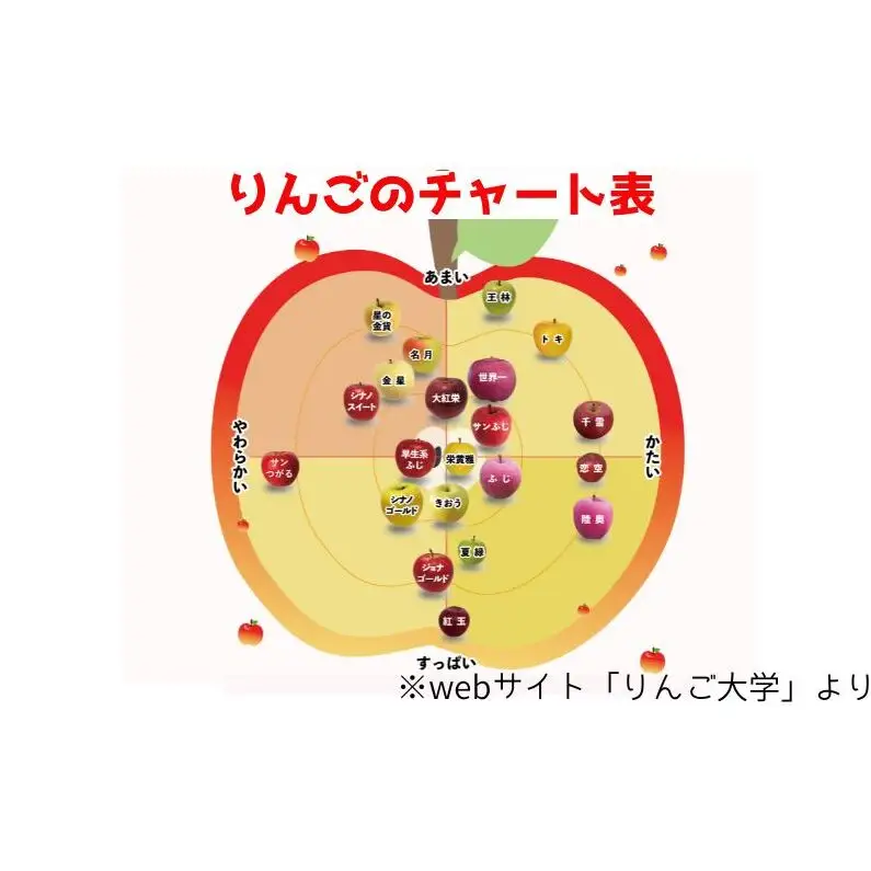 【11月発送】 家庭用 旬のりんご 品種おまかせ 約 5kg 2品種～4品種 りんご