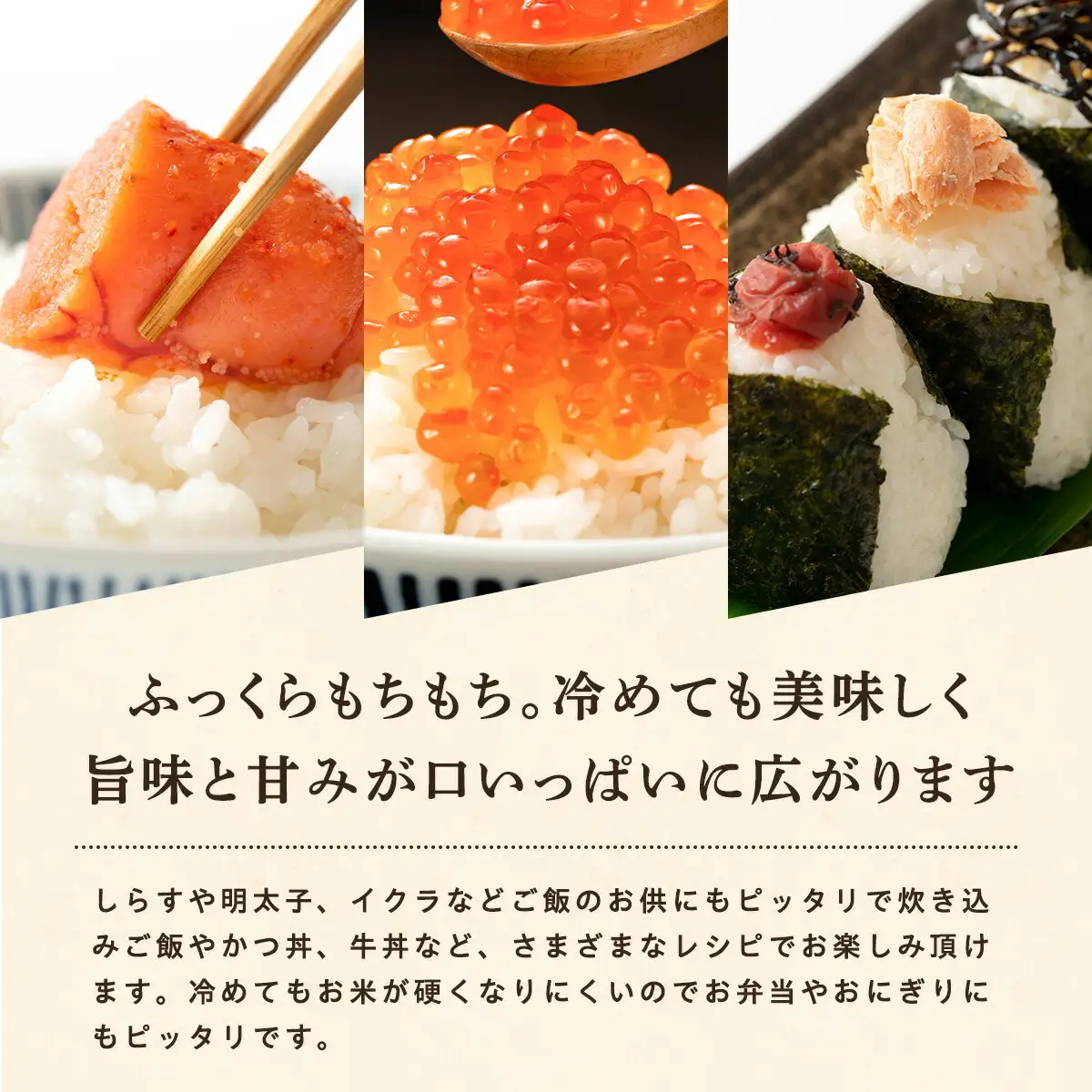 【先行予約】あきたこまち 10kg 令和8年産 無洗米 あきたこまち
