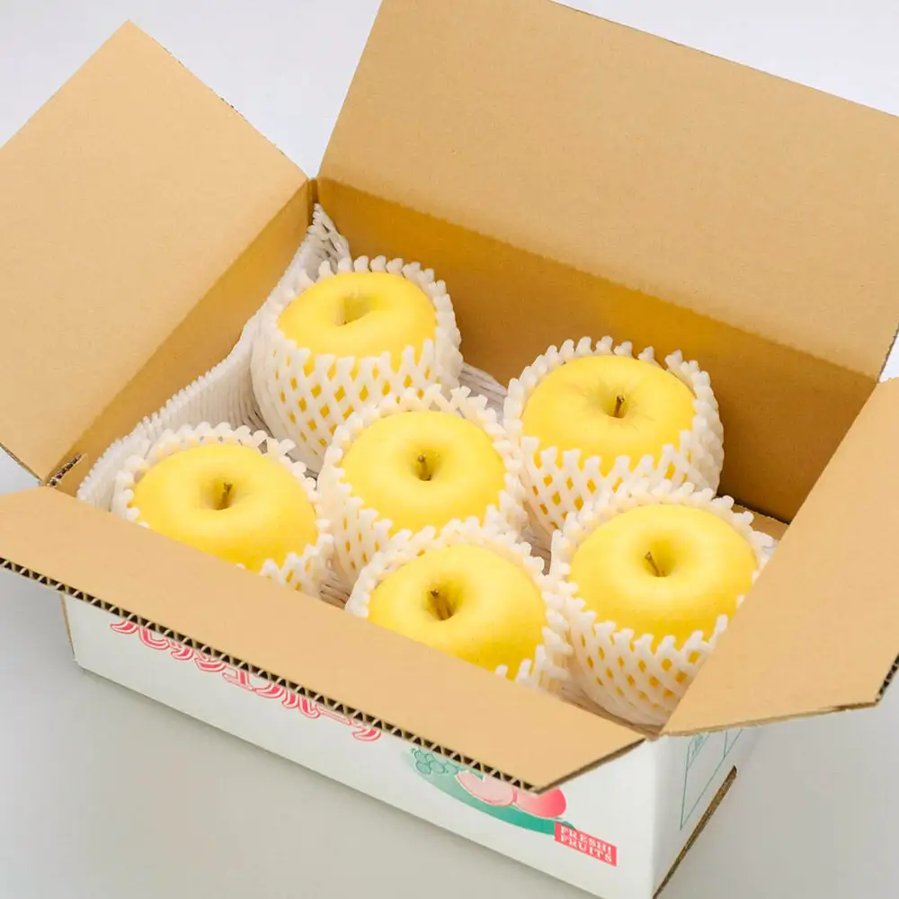 【先行受付】12月上旬より発送 樹上完熟りんご（はるか）贈答用 約2kg（約5玉） 喜三郎農園