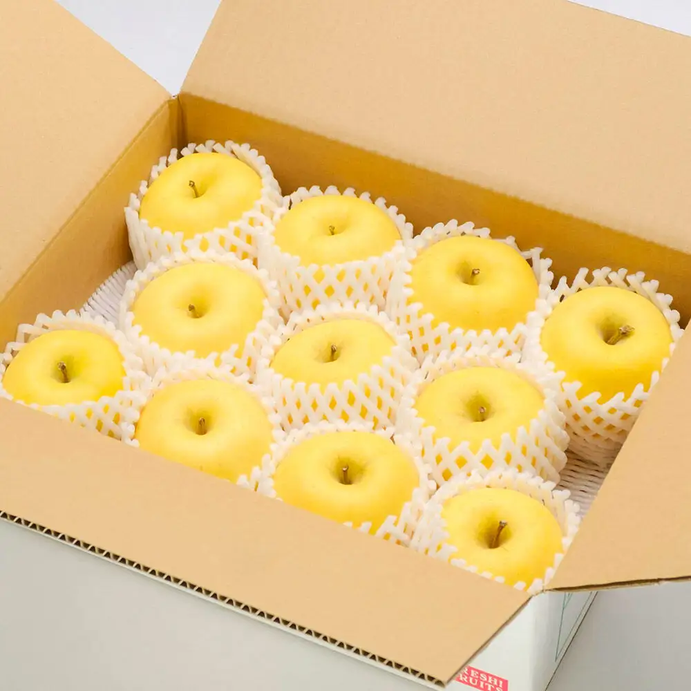 【先行受付】12月上旬より発送 樹上完熟りんご（はるか）贈答用 約3kg（約8～12玉） 喜三郎農園