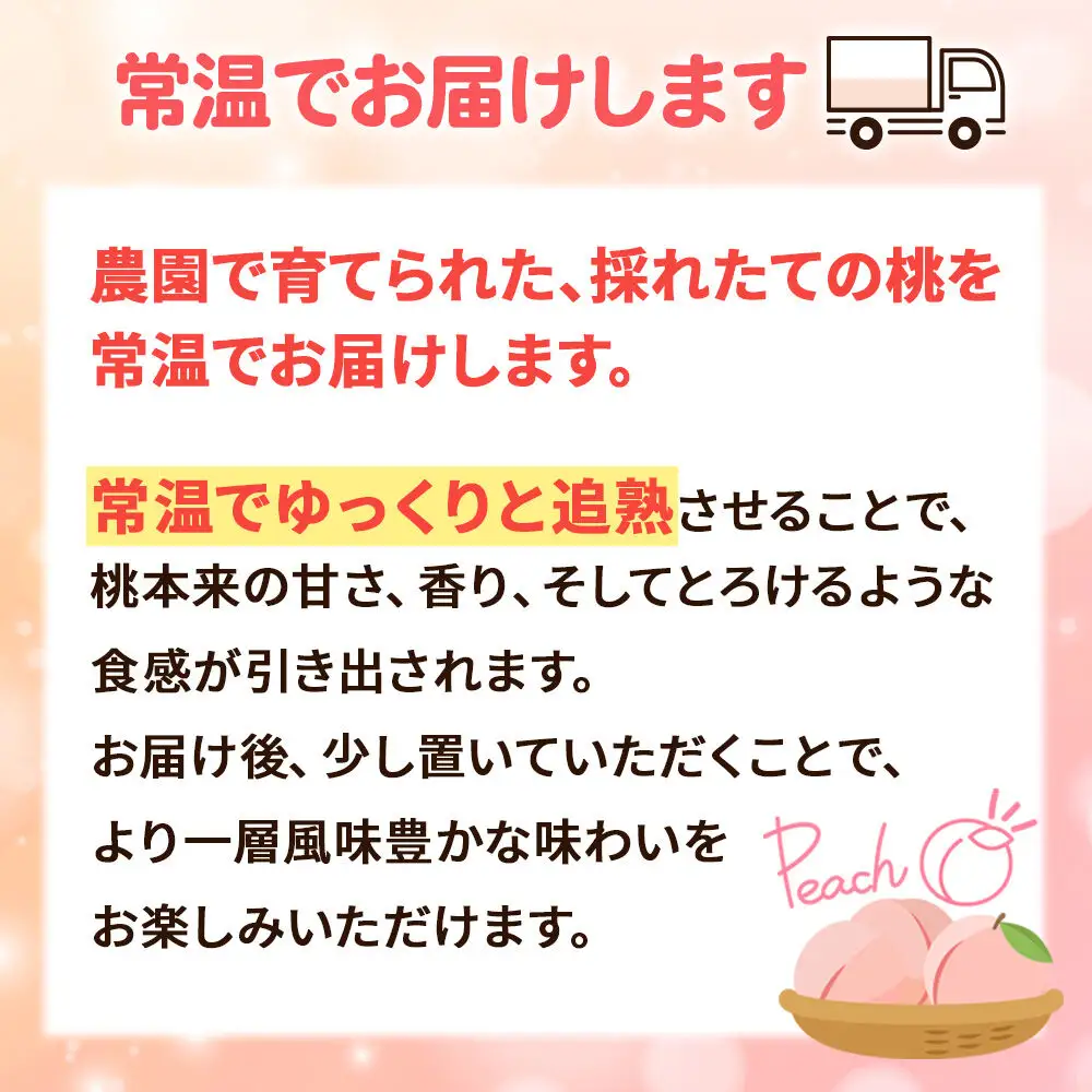 季節の赤い桃（あかつき、まどか、川中島白桃）家庭用 約3kg（約12玉～18玉） 喜三郎農園