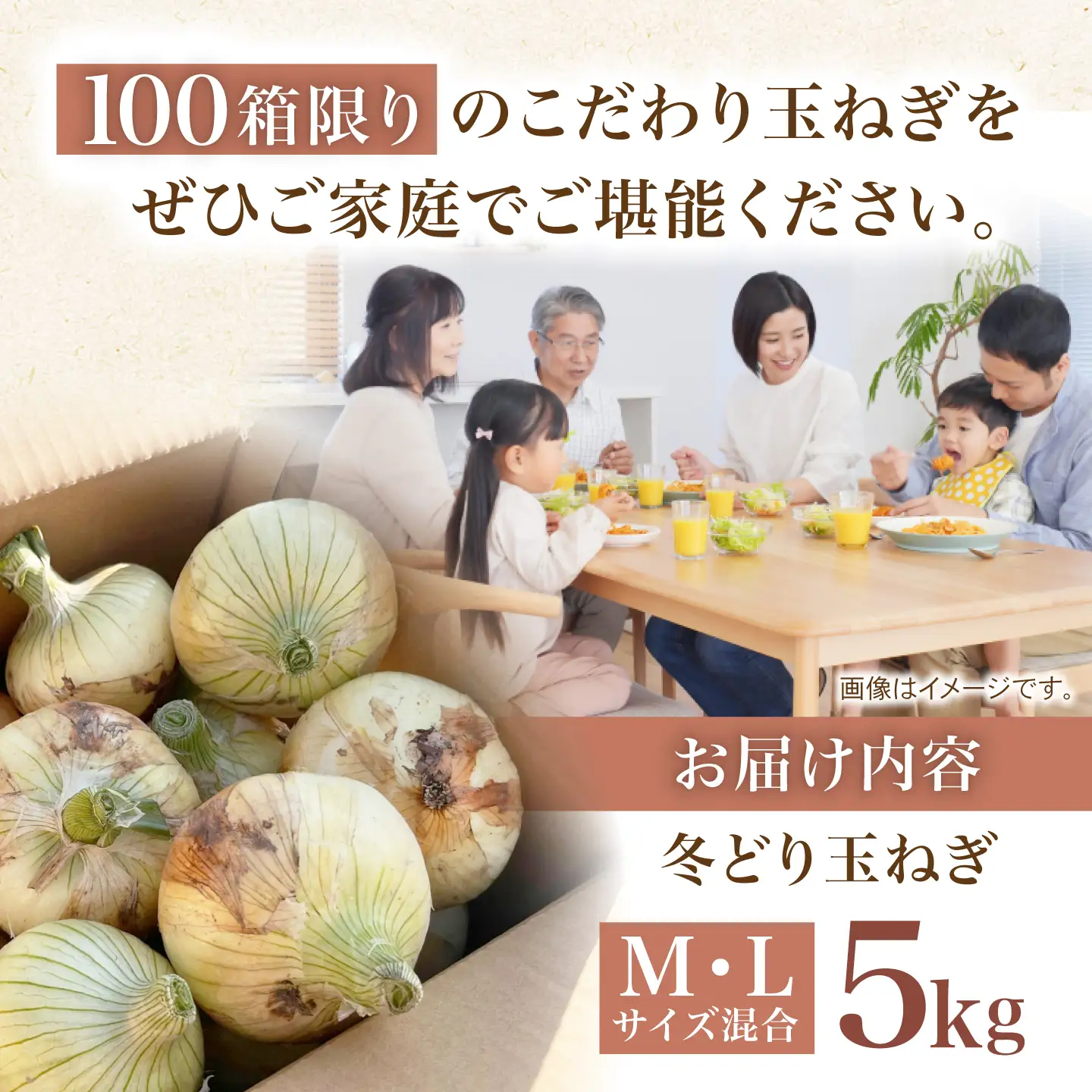 【先行予約 2027年1月〜発送】種から栽培するこだわり！冬どりたまねぎ5kg【藤武農産】[IDM002]