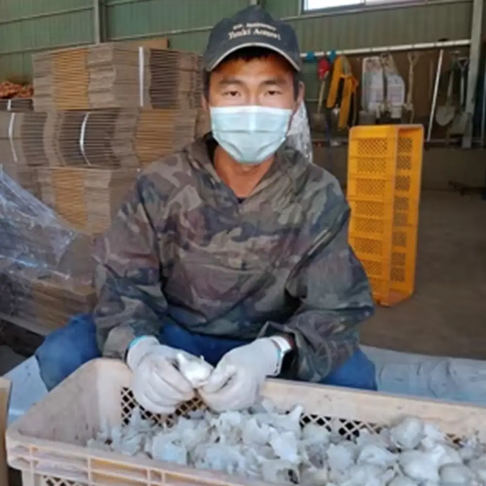 【青森県東北町産】乾燥にんにく　2kg　【02408-0208】