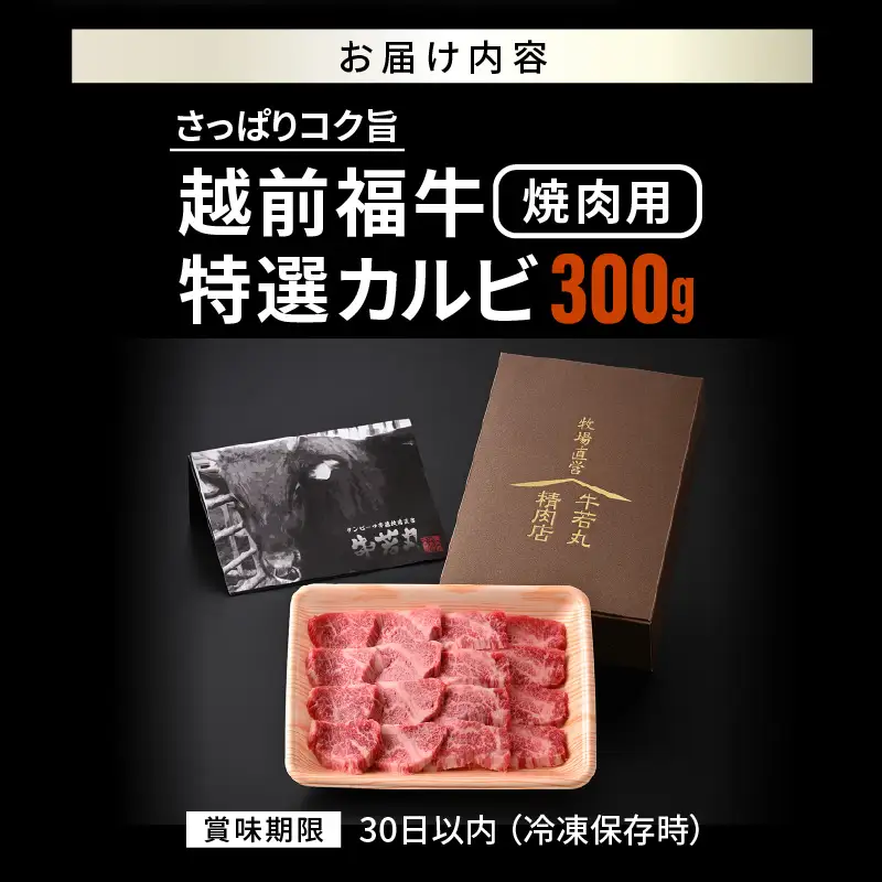 希少 越前福牛 特選カルビ 焼肉用 300g 牛肉 国産和牛 カルビ 冷凍 贈答 ギフト [A-1805] 