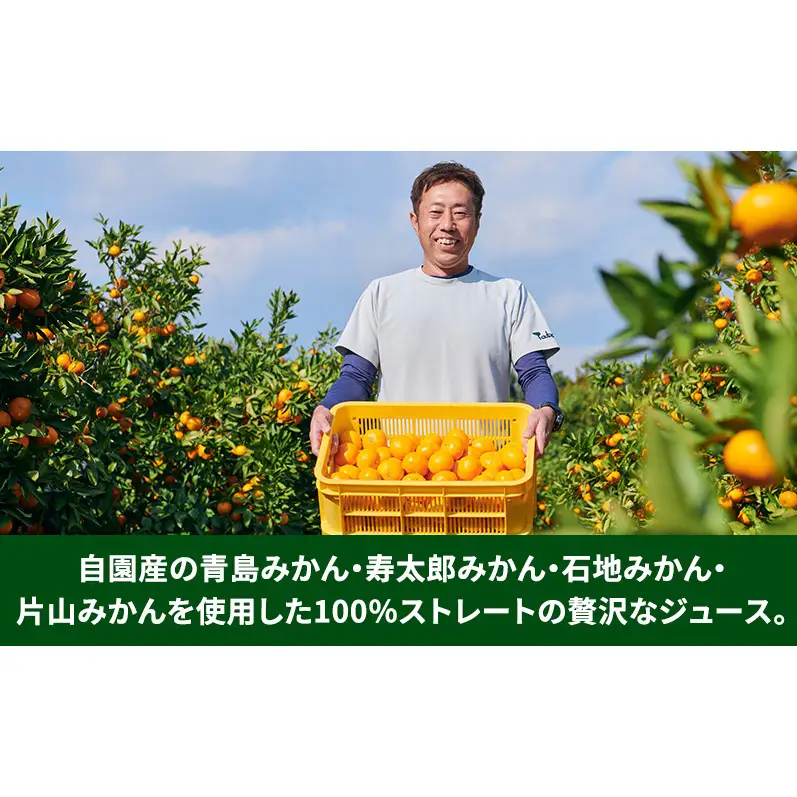 スズキ果物農園 たかのみかんジュースBセット（1L×1本、180ml×5本） 無添加 100％ストレート ジュース みかん ミカン 青島みかん 寿太郎みかん 石地みかん 片山みかん 化粧箱入り 静岡 浜松市 【配送不可：離島】