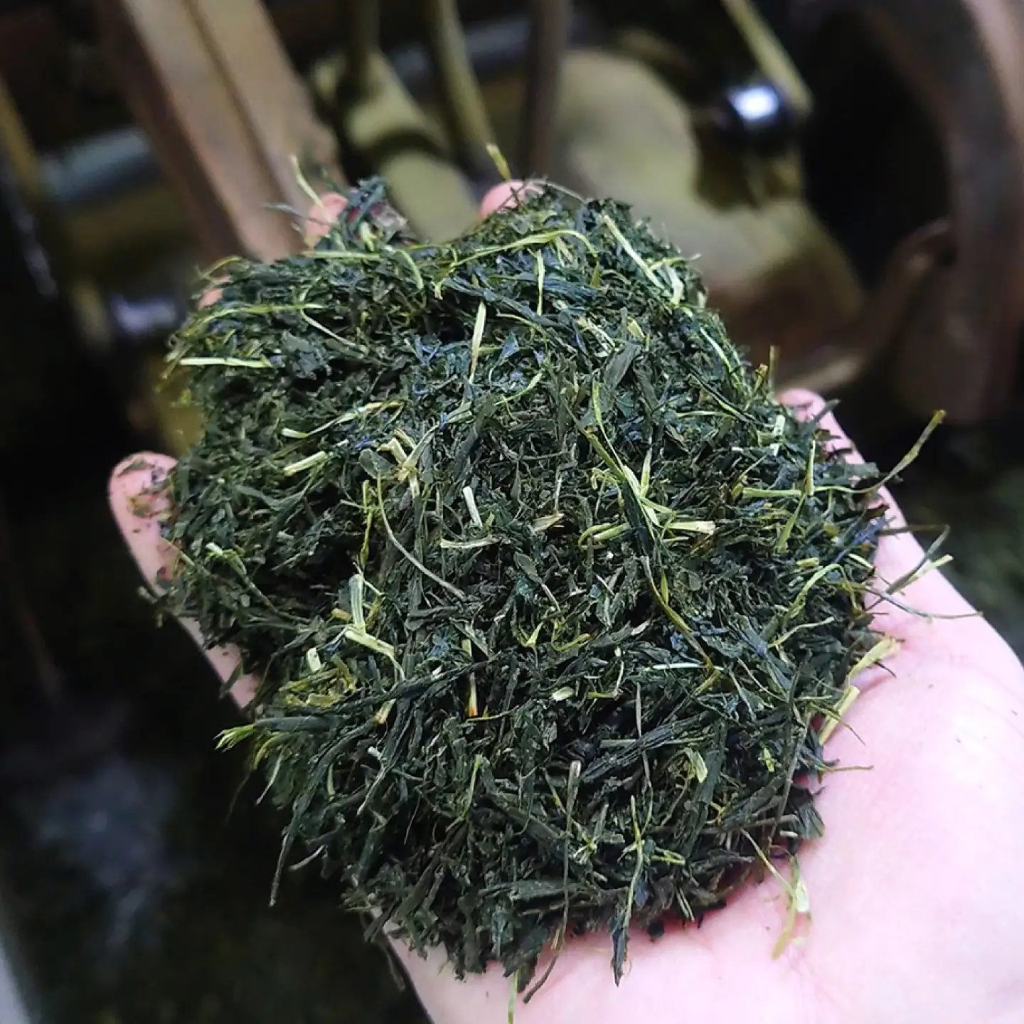 【3回定期便】 【家族の団らんの真ん中に】農家直送の緑茶と上ほうじ茶"こはく" 飲み比べセット 瑞浪市 / 成瀬農場 瑞芳園 国産 お茶[AZBP046]
