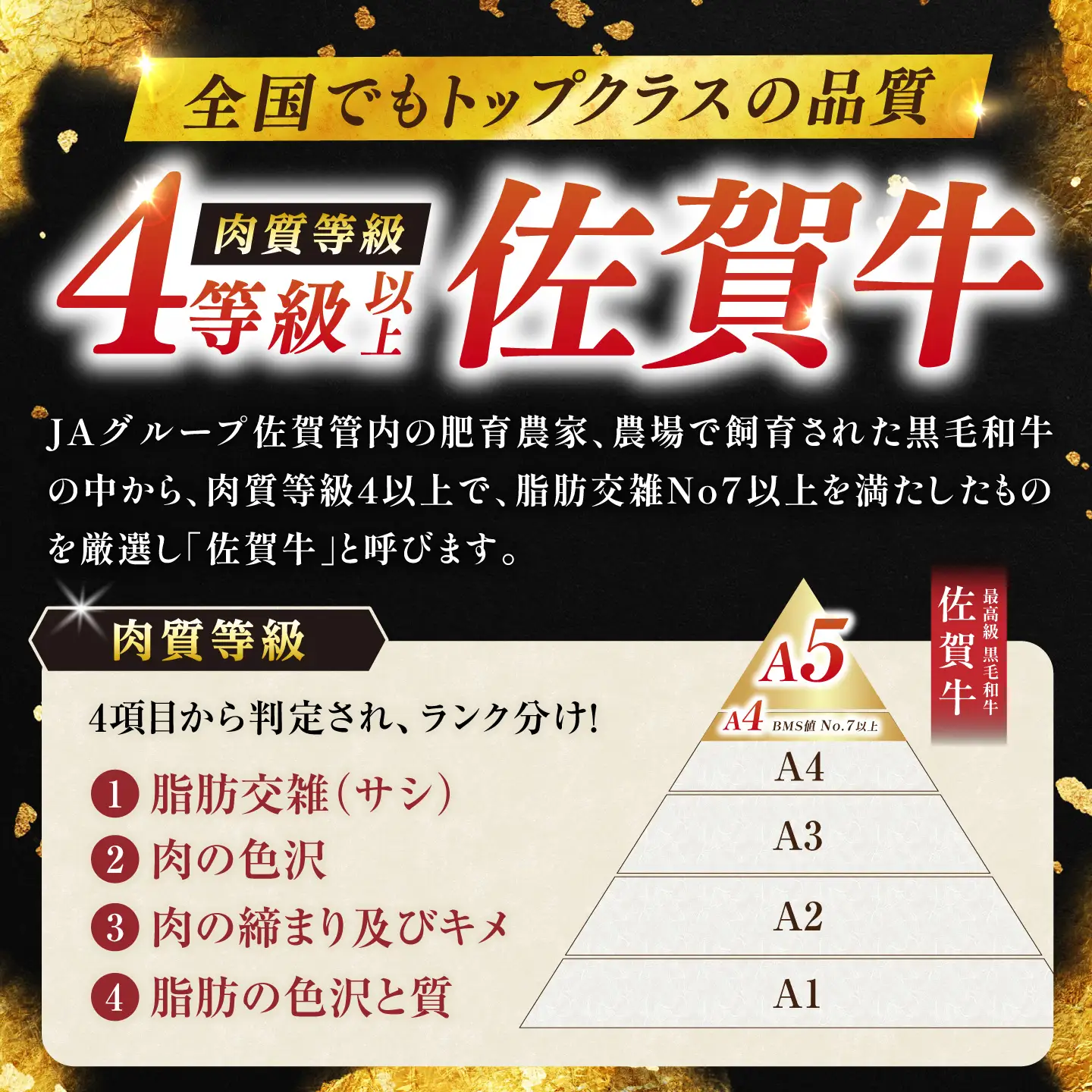 【ふるなび限定】【定期便】佐賀牛 牛肉 ブロック 1kg NAC204 牛肉 ブロック 全12回 FN-Limited-SP