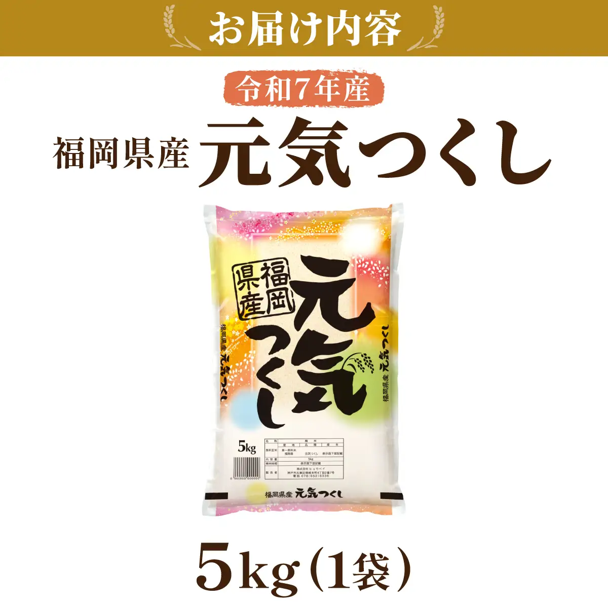 令和7年産 福岡県産元気つくし 5kg
