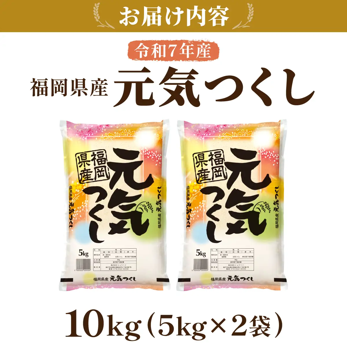 令和7年産 福岡県産元気つくし 10kg